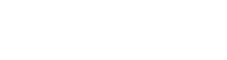 Elite VAS Surgery